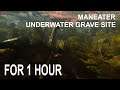 Maneater - Underwater Grave Site FOR 1 HOUR