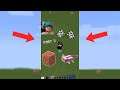 Which is faster Axolotl or Copper in Minecraft Pt 3 #shorts