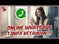 Cara Agar Tidak Terlihat Online di WhatsApp, Gak Bakal Ada yang Tahu!