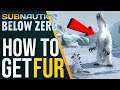 Subnautica Below Zero | Snow stalker fur