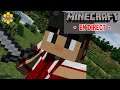 VILLAGE DES VILLAGEOIS - ILS ONT VOS NOMS! - Minecraft Survie 1.15 - Primeria - LIVE