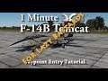 1 Minute DCS - F-14B Tomcat - Easy Waypoint Entry Tutorial
