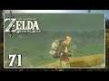 Branli am Turm! | The Legend of Zelda Breath of the Wild #71