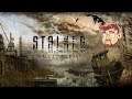 S.T.A.L.K.E.R. (stalker) : Зов Припяти интерактив. (4)