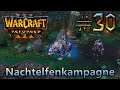 Tyrande Wisperwind - Nachtelfenkampagne - WarCraft III: Reforged #30