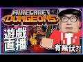 【香港市成立】今晚同觀衆4排！呢個game越玩越有趣《Minecraft Dungeons》📆 2020-5-28