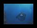 monkey swimming with TranZit loading screen theme song in the background and will make a come back