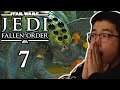 Star Wars Jedi: Fallen Order ⭐[FACECAM] PS5 #7: Riesige Spinnen & Wookies!
