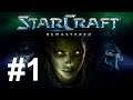 StarCraft: Brood War Remastered Walkthrough Protoss part 1 [No commentary]