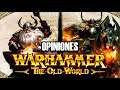WARHAMMER: THE OLD WORLD / OPINIONES y FANTASY VS AOS