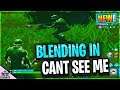 HIGH KILL GAME BLENDING IN TO THE BACKGROUND IN FORTNITE