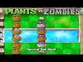 Plants Vs Zombies: Double Columns Challenge
