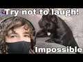TRY NOT TO LAUGH CHALLENGE (try not to laugh) | you laugh you lose