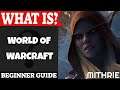 World of Warcraft Introduction | What Is Series