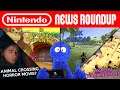 DK Park All But Guaranteed, Animal Crossing Horror, Pikachu Nightmare | NINTENDO NEWS ROUNDUP