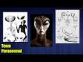 Mantis & Insectoid Aliens  - Documentary [Abductions, History & Encounters]