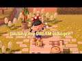 Spending 15 Nook Miles Tickets to find my **DREAM VILLAGER** | Animal Crossing New Horizons