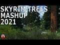 THE FORESTS OF SKYRIM | ULTRA TREES SETUP 2021 | SKYRIM MODDING