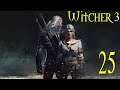 The Witcher 3 Wild Hunt Ep 25 (Count Reuvens Treasure) 4K