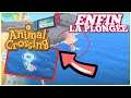 Animal Crossing Switch | LA PLONGÉE arrive ENFIN 🔥