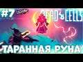 ТАРАННАЯ РУНА / Dead Cells - Прохождение #7