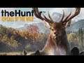 echando la cazita | the hunter call of the wild |