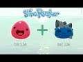 Every Possible Largo Combo | Slime Rancher