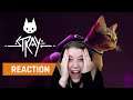 My reaction to the Stray Trailer | GAMEDAME REACTS