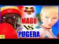 『スト5』 ぷげら(バイソン)   対  マゴ（キャミィ) ｜ Pugera (Balrog) VS  Mago (Cammy)    『SFV』🔥FGC🔥