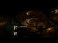 Pillars of Eterenity II - First Playthrough Druid - Stream Footage Part 2