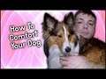 How To Calm Your Dog Down | Pupdate #44 | MumblesVideos