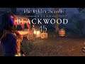 Let's Play ESO - Blackwood [Blind] [Deutsch] Part 45 - Auf der Spur