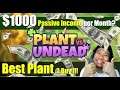 Plant Vs Undead NFT Gaming - Passive Income - Best plant to buy complete guide