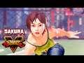 SFV Sakura Casual clothes