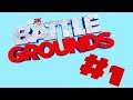 WWE 2K Battlegrounds!