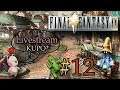 #12 Livestream - Final Fantasy 9 (mit FaceCam) Blind