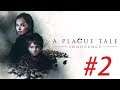 A plague tale : Innocence #2 / Time to fight ?! / ultra settings / 1080 60fps
