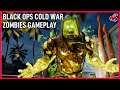 Call Of Duty: Black Ops Cold War ZOMBIES Mode
