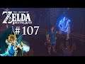 Lasset die Spiele beginnen • The Legend of Zelda: Breath of the Wild #107 ★ Let's Play
