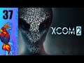 Let's Play XCOM 2 (Blind) Part 37:  Everyone's Injured Again