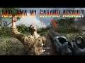 M1 Garand Iwo Jima assault/ 48 KIlls conquest