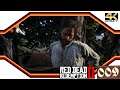 Red Dead Redemption 2 - 009 - Entmannen oder nicht entmannen - Let's Play RDR2