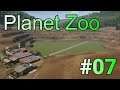 実況 動物観察の刑に処す！「Planet Zoo」#07