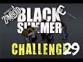 Project Zomboid Black Summer 29