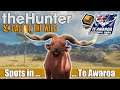 The Hunter Call of the Wild: Vom Damhirsch zum Rothirsch zur Wildziege | Te Awaroa | Deutsch