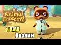 Animal Crossing New Horizons #10 — Подарок Гулливера {Switch} прохождение часть 10