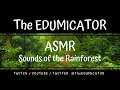 ASMR  |  SOUNDS of the RAINFOREST  |  Water Bottle & Rainstick