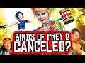 Birds of Prey 2 CANCELED by WarnerMedia? Margot Robbie on Pirates 6?!
