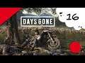 🔴🎮 Days Gone - ps4 - 16
