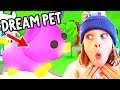 FINALLY GIVING BIGGY HIS DREAM PET in Adopt Me w/ The Norris Nuts